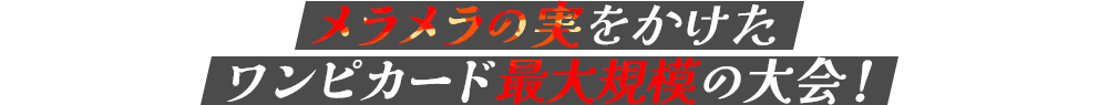 メラメラの実をかけたワンピカード最大規模の大会！