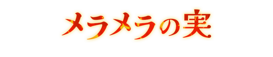 メラメラの実
